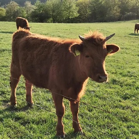 Michas Lahn Apartment Scheidt (Rhein-Lahn)