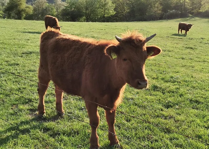 Michas Lahn Apartamento Scheidt (Rhein-Lahn)